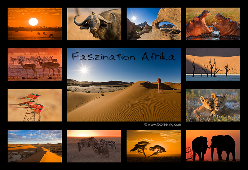 Kalender - Faszination Afrika
