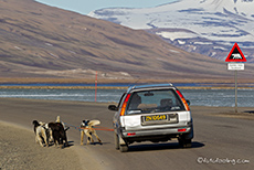 so kann man auch sein Auto bewegen, Longyearbyen