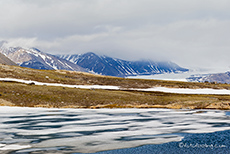 Schneereste in der Tundra, Spitzbergen