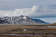 Tundraspaziergang auf Spitzbergen