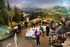 Denali Visitor Center, Denali Nationalpark, Alaska