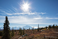 Unsere Campsite mit Ausblick, Denali Nationalpark, Alaska