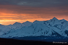 Sonnenaufgang über der Alaska Range, Denali Nationalpark, Alaska