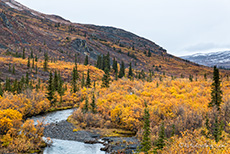 Herbstliche Landschaft am Dempster Highway, Kanada