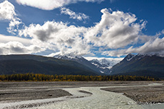 Chilkat River und Saksaia Gletscher in der Chilkat Range, Haines Highway, Alaska Panhandle, Alaska