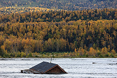 Da schwimmt ein Haus im Matanuska River, Glenn Highway, Alaska