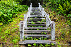 Holztreppe zur Botany Bay, Vancouver Island