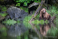 gemütlicher Sitzplatz, Khutzeymateen Grizzly Bear Sanctuary