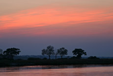 Sonnenaufgang am Okavango