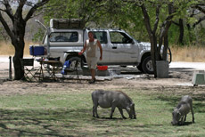 Rasenmäher Namutoni Campsite