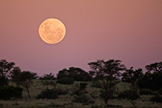 Mondaufgang in Mabuasehube