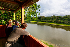 Aussichtsturm an der Cocha Otorongo im Manu Nationalpark