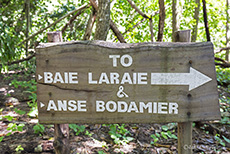 Pfad zum Baie Laraie & Anse Bodamier
