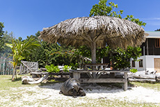Auch Seychellen-Riesenschildkröten suchen Schatten, Curieuse Marine National Park