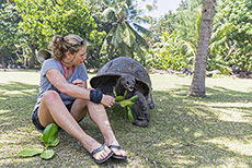 Andrea füttert eine Seychellen-Riesenschildkröten, Curieuse Island