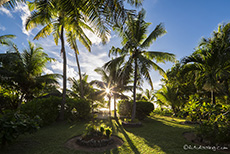 Palmengarten, Villas du Voyageur, Praslin, Seychellen