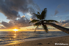 Sonnenuntergang mit Palme, Anse Kerlan, Praslin, Seychellen