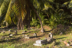 Friedhof unter Palmen