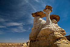 Tolle Hoodoos findet man auch am Coal Mine Canyon
